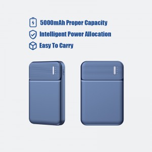 Affordable Price 5000mAh Wired Charging Portable Power Bank 5000mAh OEM Customized Logo